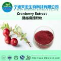 100% natural cranberry extract/cranberry juice extract
